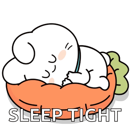 Rabbit Sleeping on Carrot Pillow Saying Sleep Tight