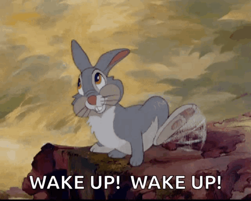 Rabbit Standing on Log Wake Up