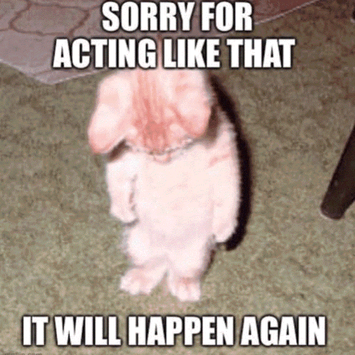 Rabbit Standing Sorry for Acting Again