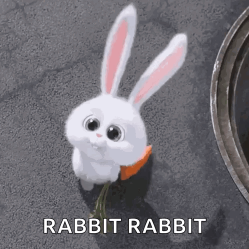 Rabbit With Carrot In Mouth GIF