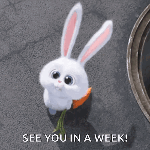 Rabbit With Carrot Says See You in a Week