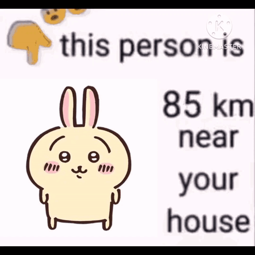 Rabbit With His Person 41 km Near Your House