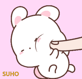 Rabbit With Word Suho