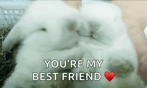 Rabbit With Words You're My Best Friend Above It
