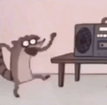 Raccoon Dancing In Front Of Radio GIF