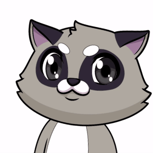 Raccoon Drawing With Big Eyes and White Nose