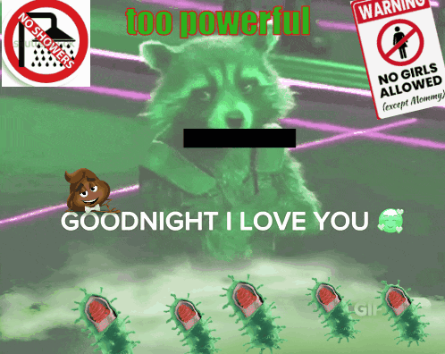 Raccoon Goodnight I Love You