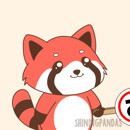 Raccoon Holding Perfect 10 Sign