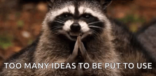 Raccoon Holding Wood Too Many Ideas To Be Put To Use GIF