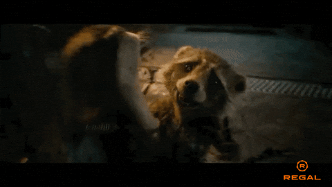 Raccoon Hug Rat Showering GIF