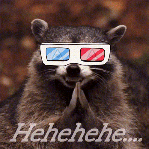 Raccoon In 3D Glasses Saying Henehene GIF