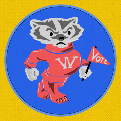 Raccoon in Red Shirt With Letter VV