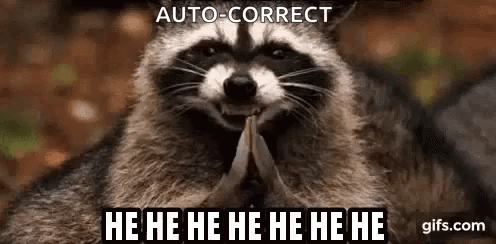 Raccoon Laughing Holding Paper GIF