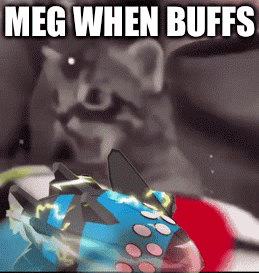 Raccoon Looking at Toy Saying Meg When Buffs