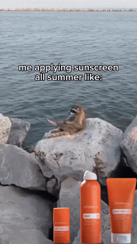 Raccoon Outside Applying Sunscreen For Summer GIF