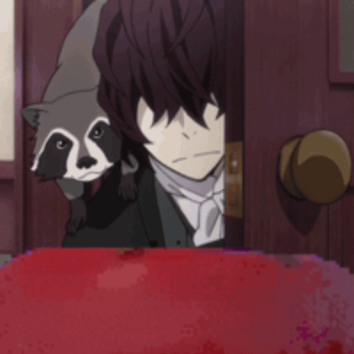 Raccoon Peeking Out of Door With Man Behind