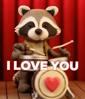 Raccoon Playing Drums I Love You