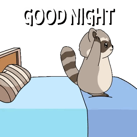 Raccoon Saying Good Night
