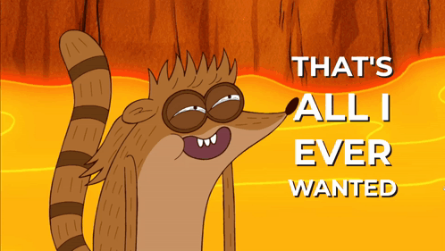 Raccoon Saying That All I Ever Wanted GIF