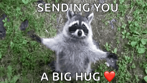 Raccoon Sending Big Hug