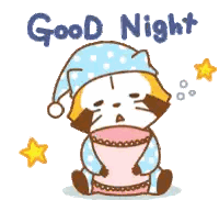 Raccoon Sitting on Pillow Good Night