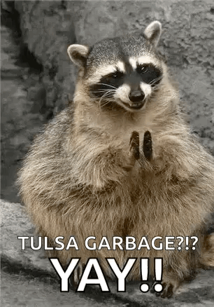 Raccoon Sitting on Rock Saying Tulsa Garbage Yay