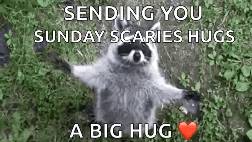 Raccoon Standing in Grass with Heart