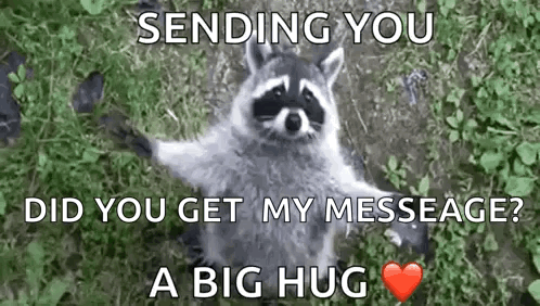 Raccoon Standing in Grass With Heart