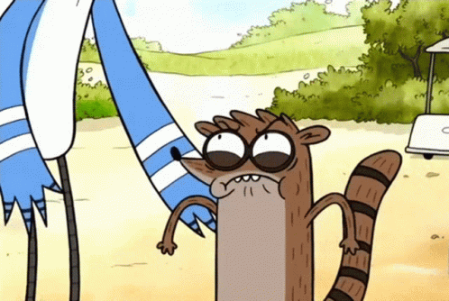 Raccoon Standing Next To Two Birds GIF