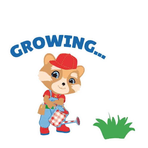 Raccoon Watering Growing Plant