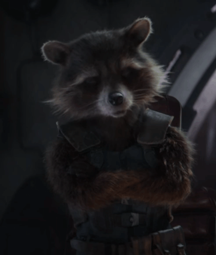 Raccoon Wearing Rocket Vest