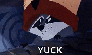 Raccoon Wearing Sweater and Hat Yuck