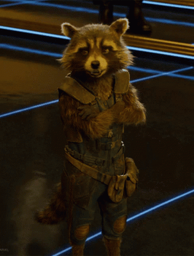 Raccoon With Crossed Arms At Marvel Sign GIF