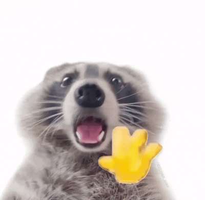 Raccoon With Open Mouth Holding Yellow Hand