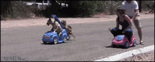 Race Kids And Pets GIF