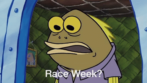 Sponge Bob Race Week GIF