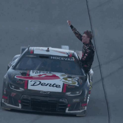 Race Car Number 17 GIF
