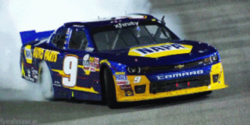 Race Car Number 9 GIF
