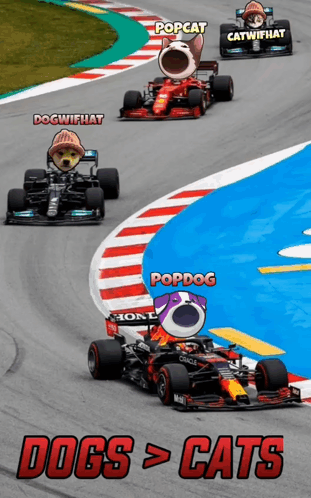 Race Car With Honl On Front GIF
