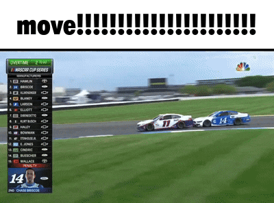 Race Cars on Track Saying Vote for Tobacco