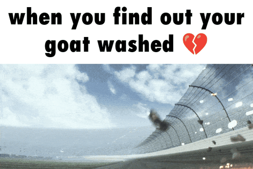Race Track Saying When You Find Out Your Goat Washed