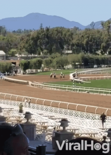 Race Track With ViralHog Text