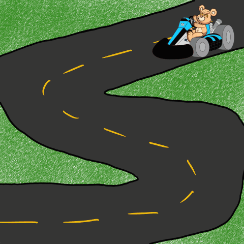 Race Zig Zag Road Bear GIF