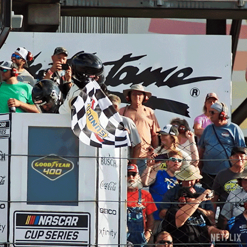 Racing Checkered Flag Waving GIF
