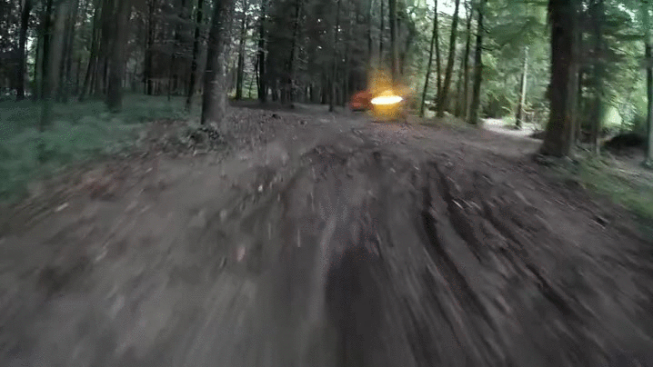 Racing Fast In Forest GIF