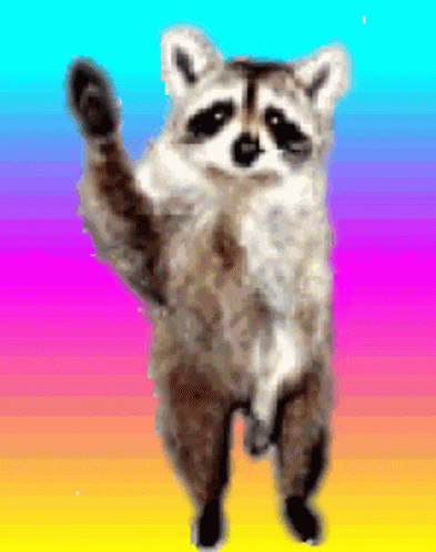 Racoon Reggae Waving GIF