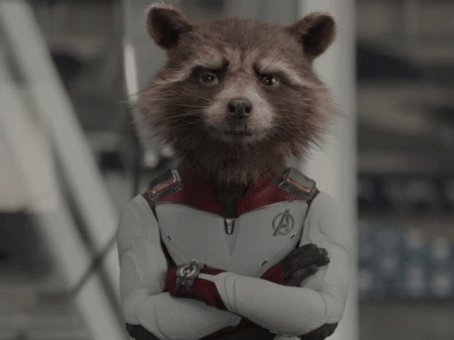 Rocket Racoon Marvels Talking GIF