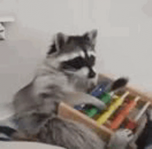 Racoon Playing Xylophone GIF