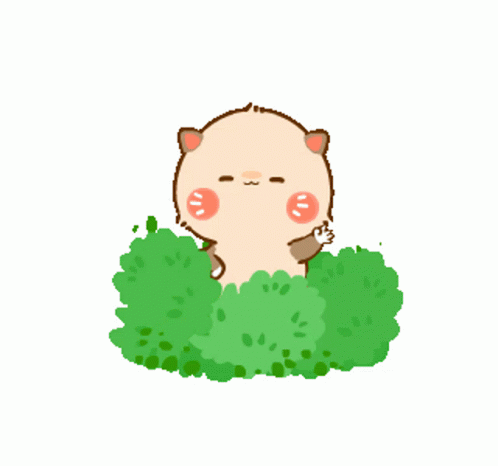 Racoon Charlie Hello Sticker Bush GIF