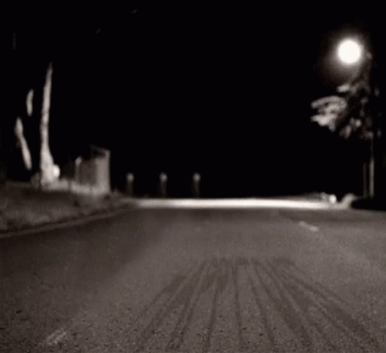 Racoon Funny Night Dancing  GIF
